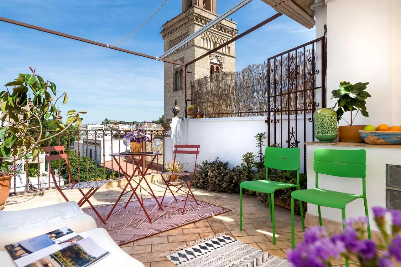 San Luis Luxury House With Terrace contacts